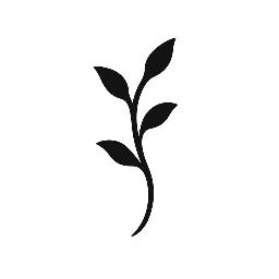 Single Vine Single